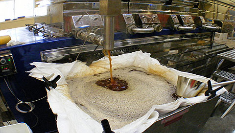 The Great Canadian Maple Syrup Caper • The Fox Gazette